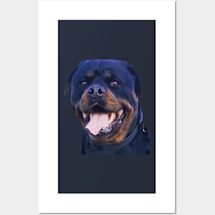 Rottweiler Pooch Smiling BR Posters and Art